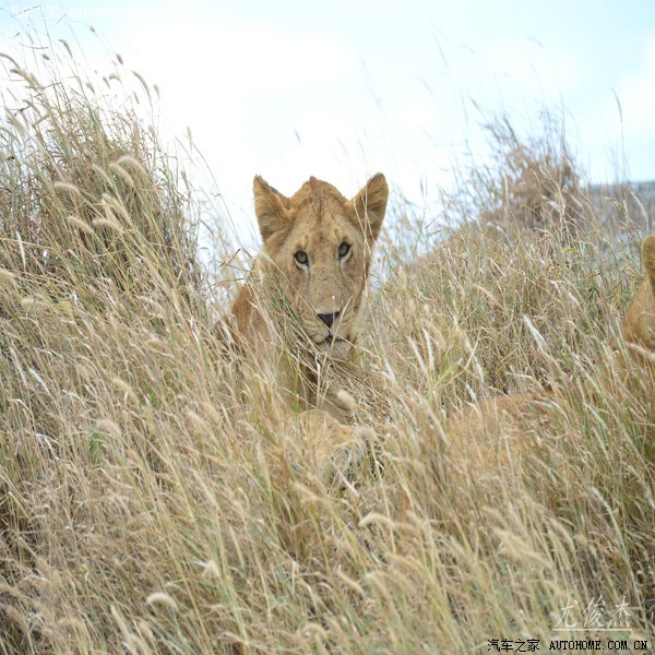 利记官方网站-坦桑尼亚选手力挽狂澜夺第二十二
