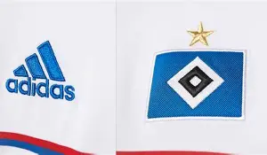 利记-汉堡主场士气高涨，全队齐心合力击败对手