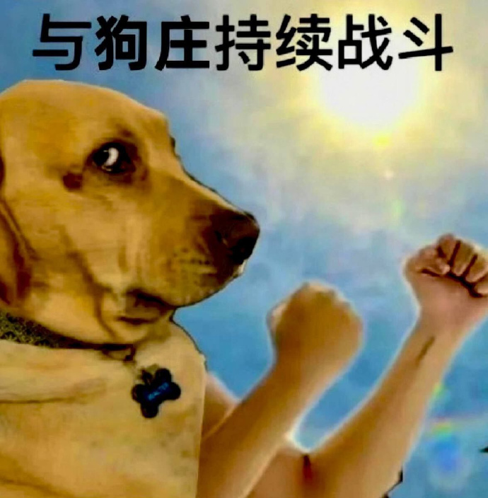 利记官方网站-竞技场上的悲欢离合，胜负难分